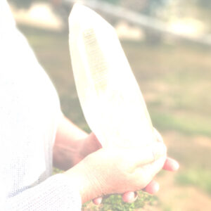 6: Light and body